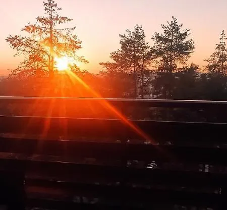 Balkanhill2 S37 Pekovic * زلاتيبور